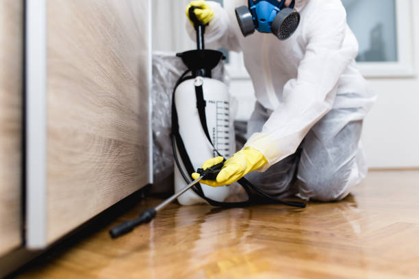 Trusted Smethport, PA Pest Control Experts