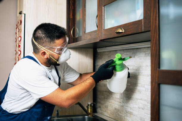 Best Affordable Pest Control Services  in Smethport, PA