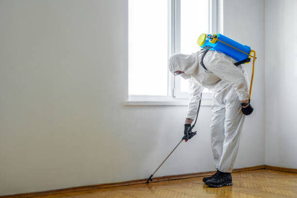 Best Residential Pest Control  in Smethport, PA