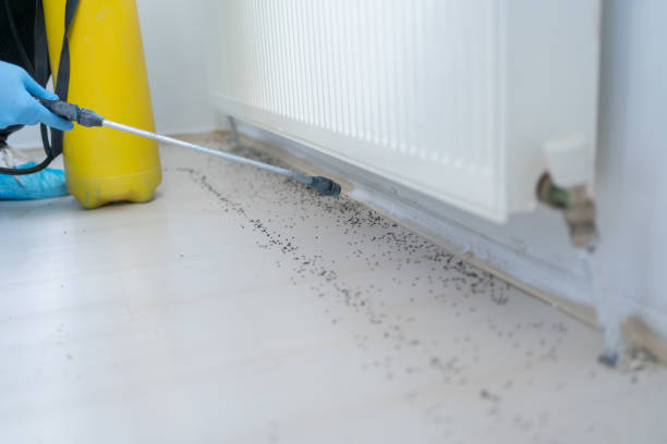 Best Best Pest Control Companies  in Smethport, PA