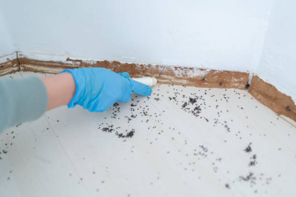 Best Affordable Pest Control Services  in Smethport, PA